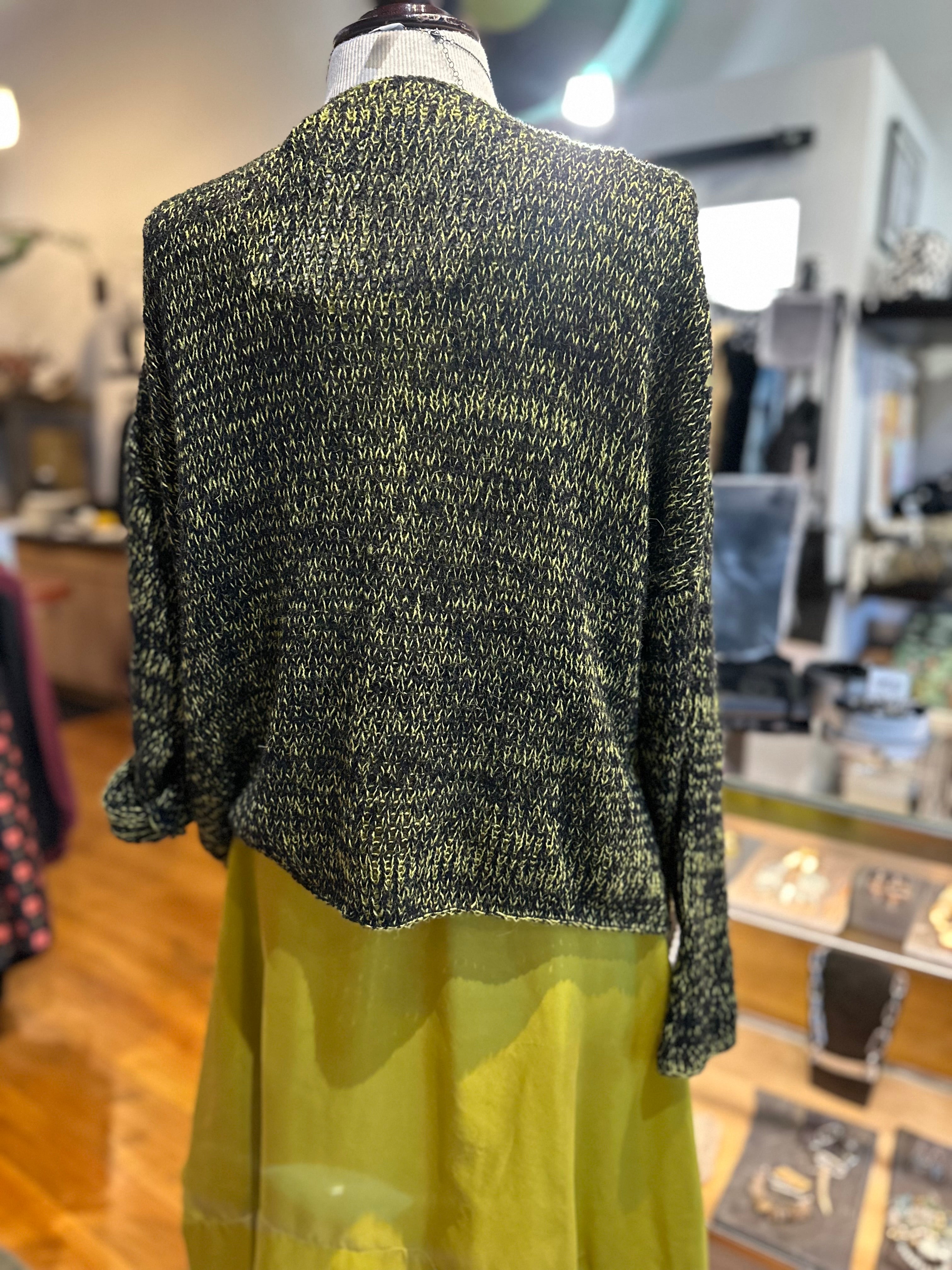 Artists and Revolutionaries - Benson Cardigan Lichen