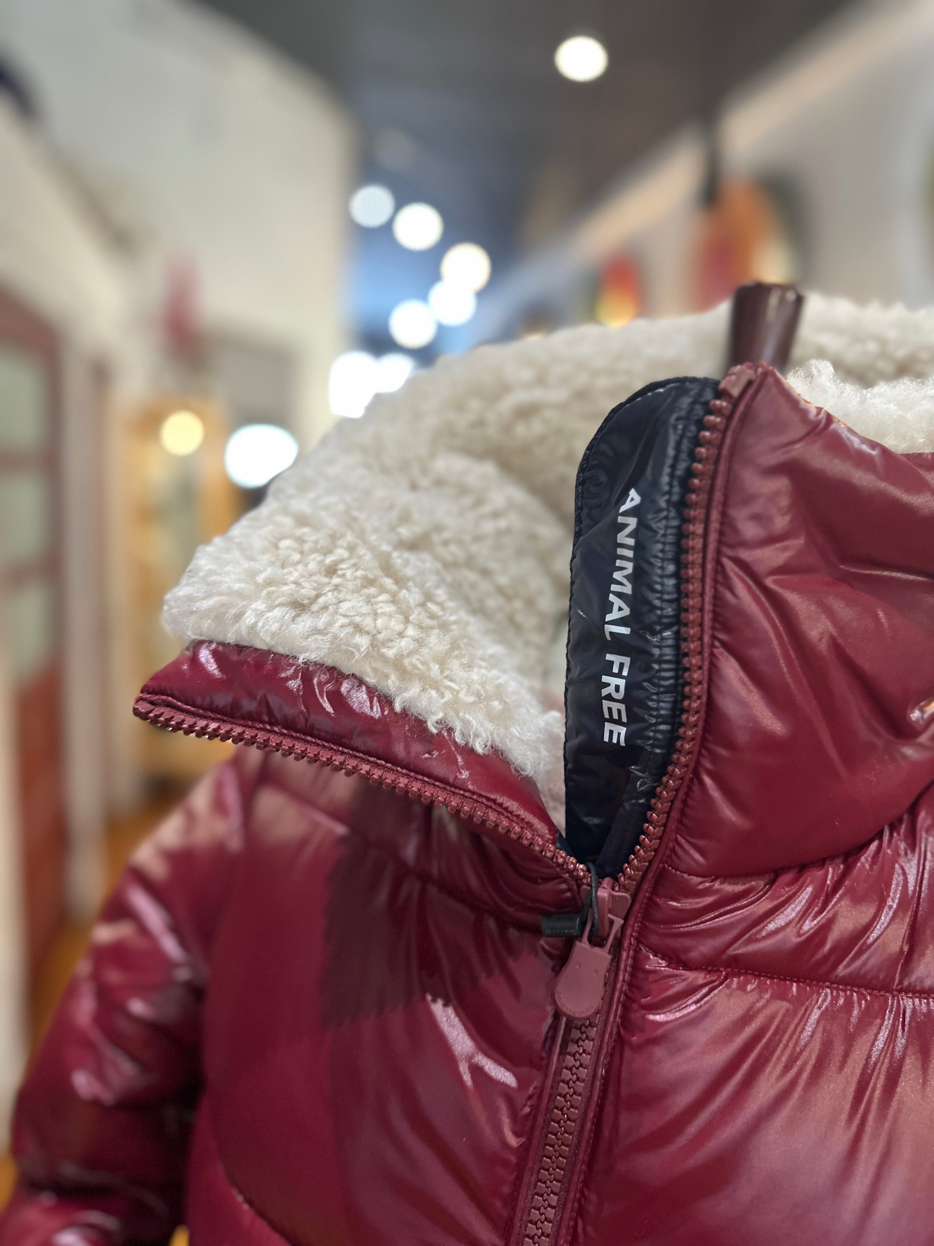 Save The Duck -Bonita Jacket