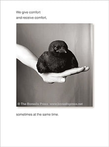 Borealis Press - Crow in hand